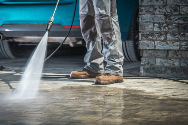 Best Roof Washing  in Mango, FL