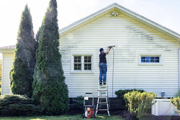 Best Gutter Cleaning  in Mango, FL